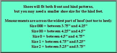 Text Box: Shoes will fit both front and hind patterns, 
but you may need a smaller shoe size for the hind feet.Measurements are across the widest part of hoof (not toe to heel):
Size 000 = between 3.75" and 4.25"
Size 00 = between 4.25" and 4.5"
Size 0 = between 4.5" and 4.75"
Size 1 = between 4.75" and 5.25"
Size 2 = between 5.25" and 5.75"